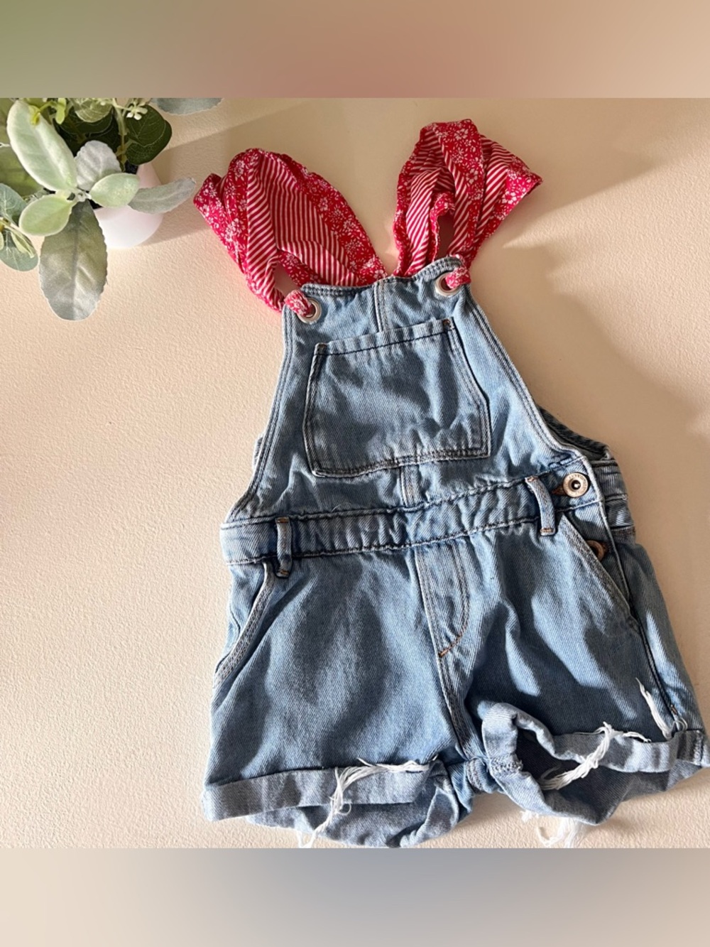Zara overalls